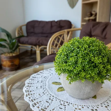 아파트 Vividlux 아란젤로바츠