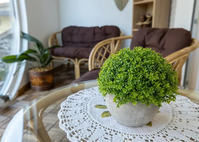 Апартаменты Vividlux Аранделовац